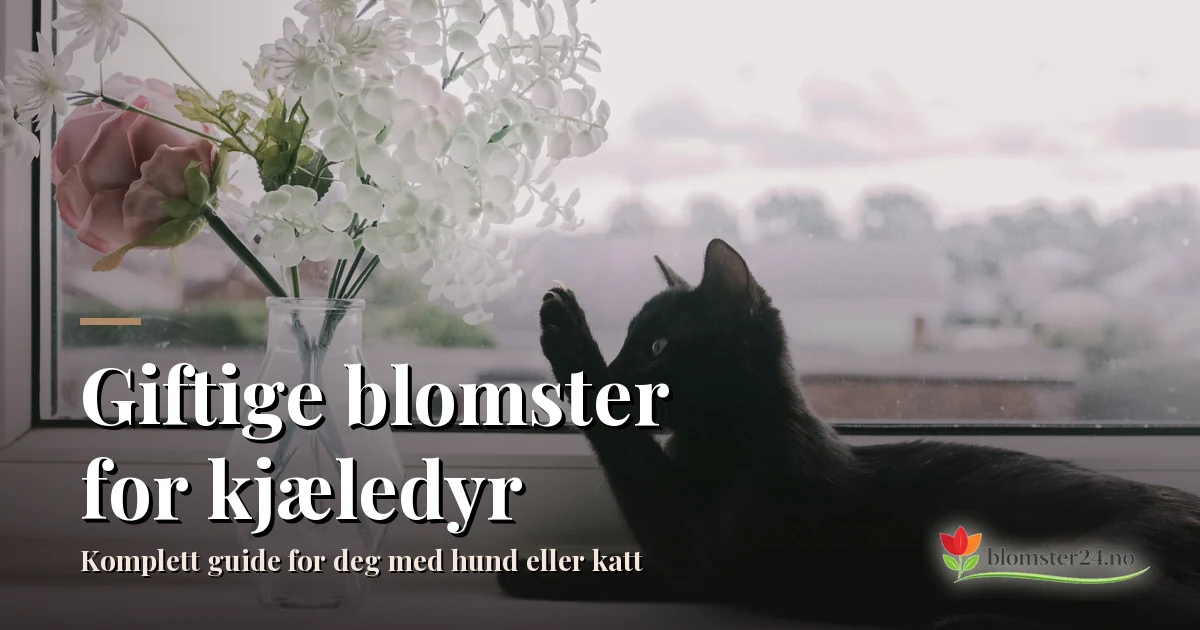 Giftige blomster for kjæledyr